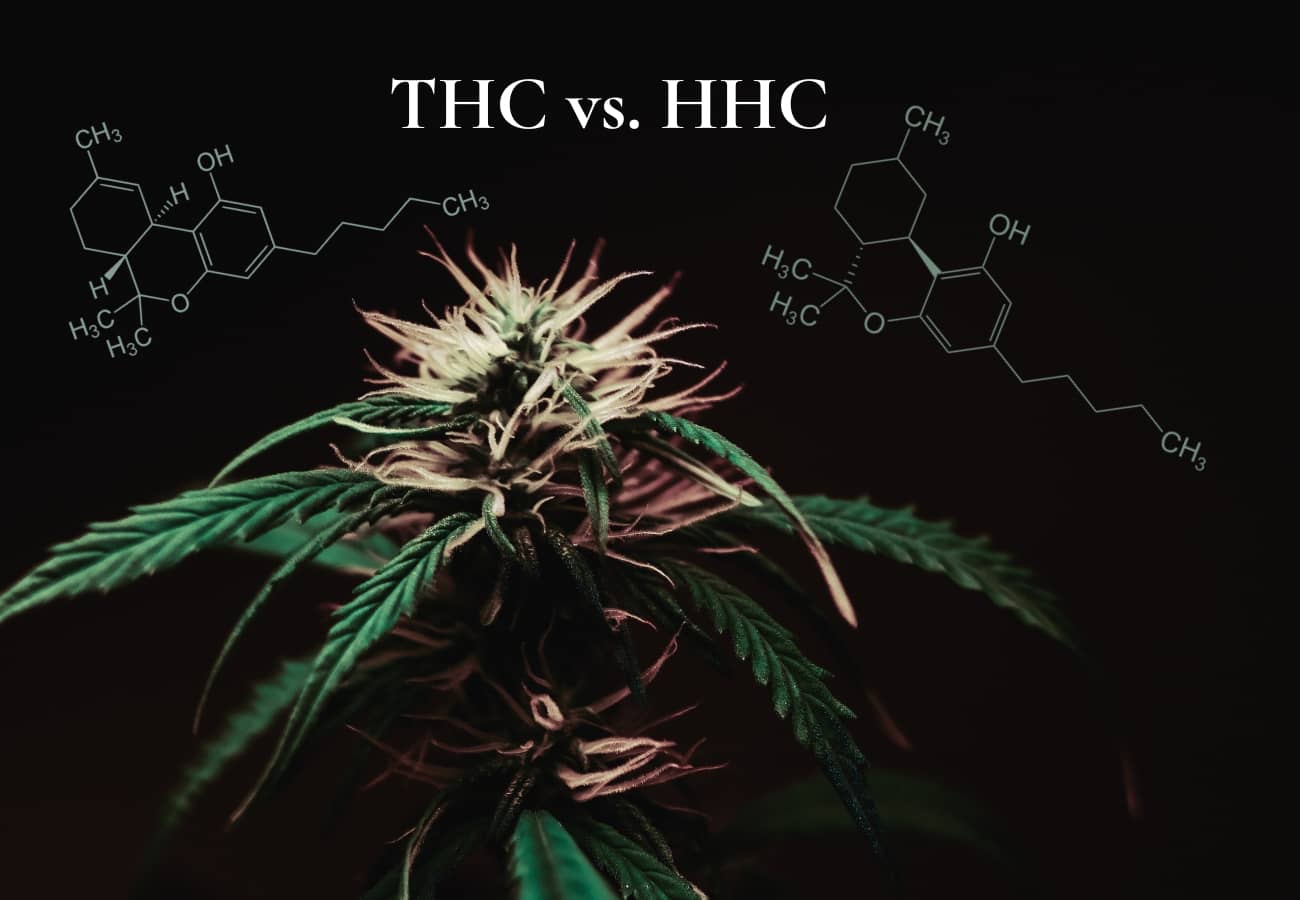 Unterschiede zwischen HHC vs. THC